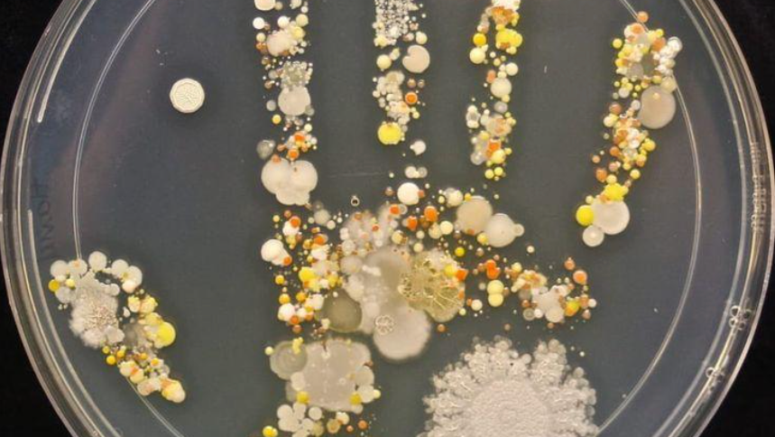 שלטון טוטליטרי